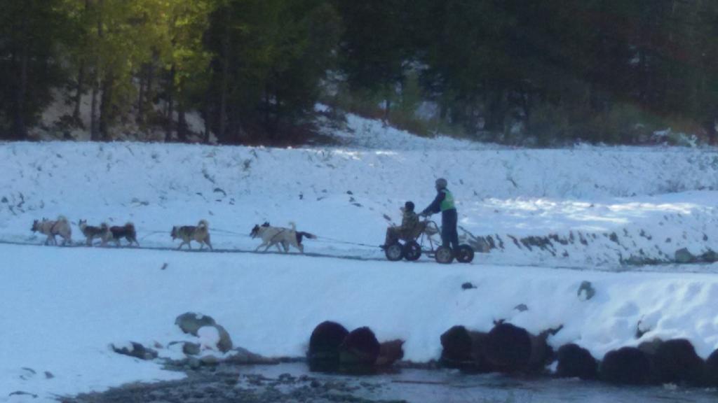 Baita Del Plan Pragelato Eksteriør billede